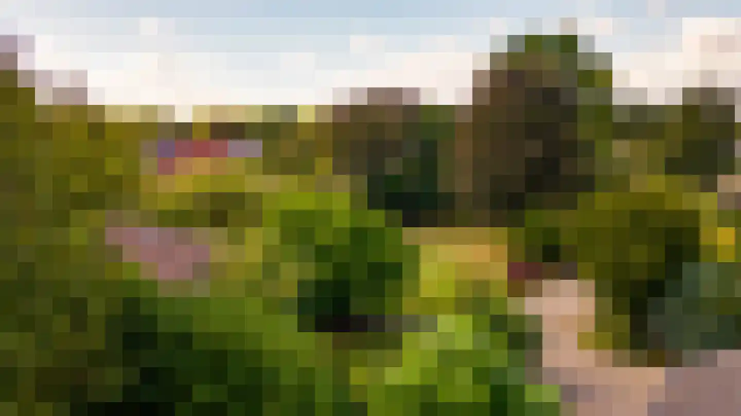 Niesstraat 3 Ell thumbnail 5