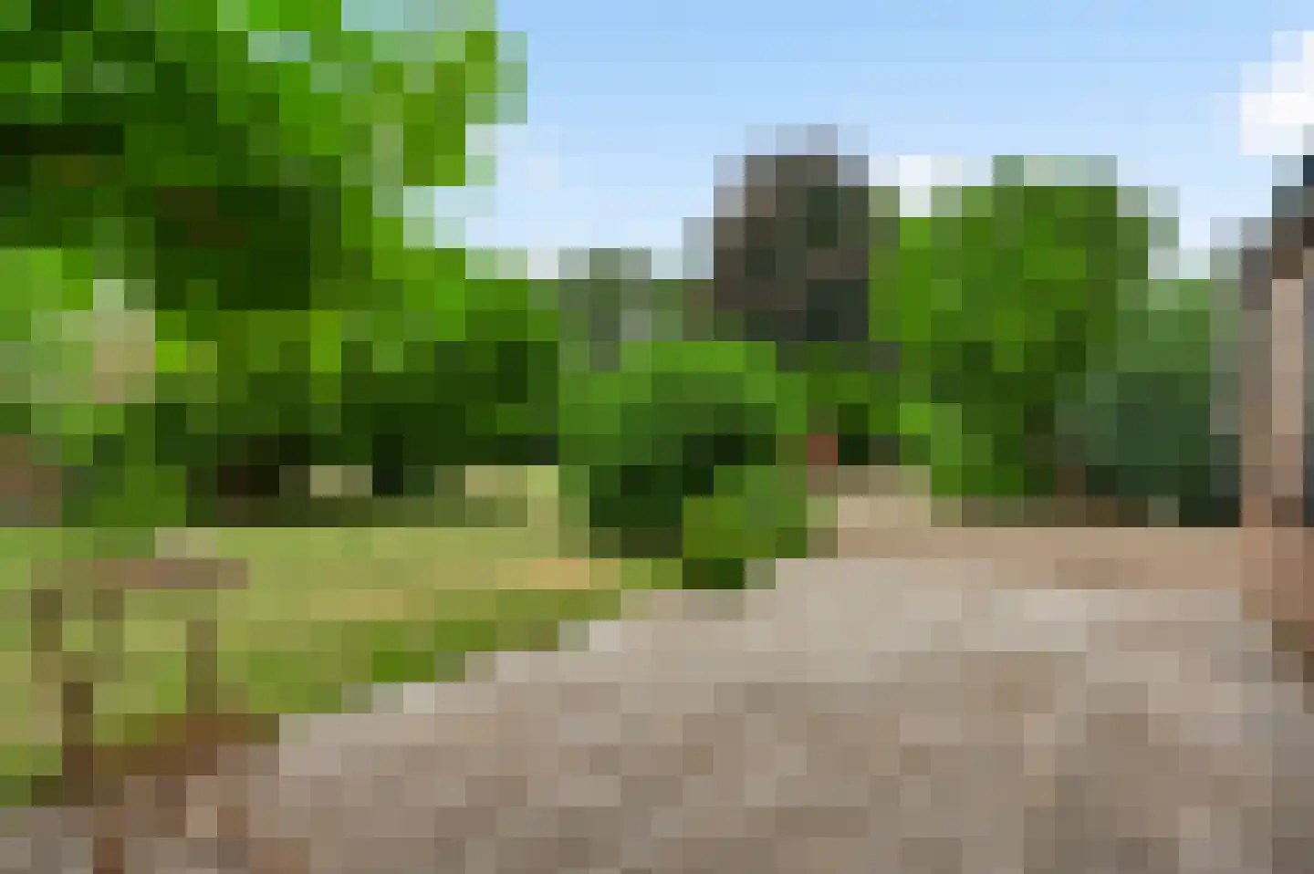 Niesstraat 3 Ell thumbnail 52