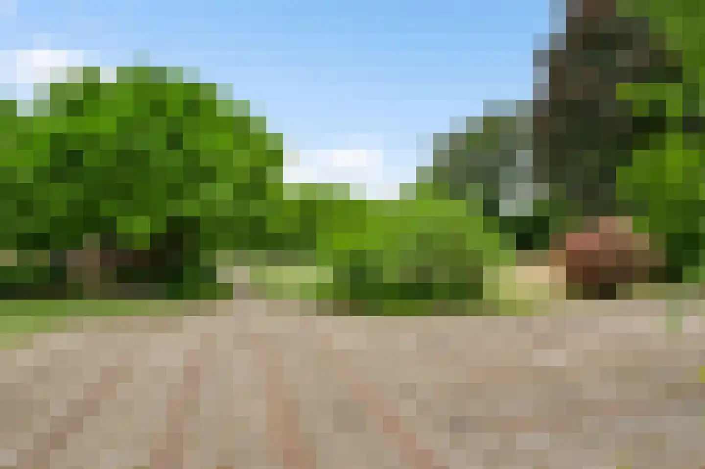 Niesstraat 3 Ell thumbnail 53