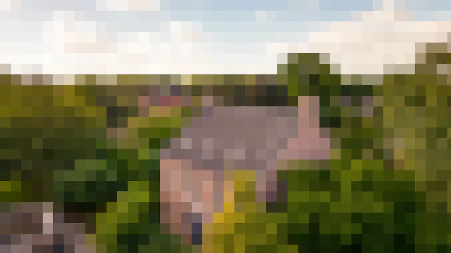 Niesstraat 3 Ell thumbnail 60
