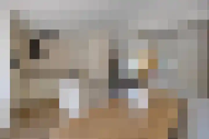 Nieuburgstraat 29 Uden thumbnail 21