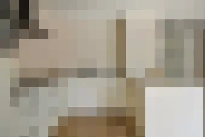 Nieuburgstraat 29 Uden thumbnail 24