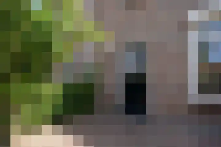 Nieuburgstraat 29 Uden thumbnail 4