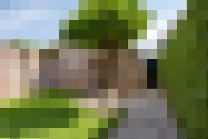Nieuburgstraat 29 Uden thumbnail 42