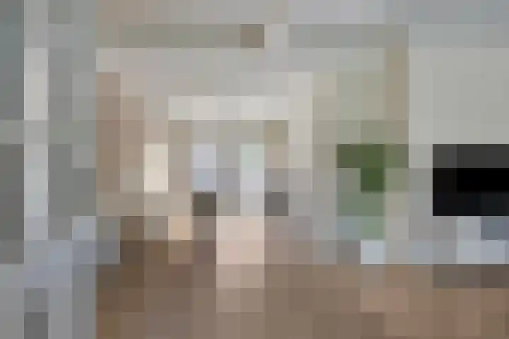 Nieuburgstraat 29 Uden thumbnail 7