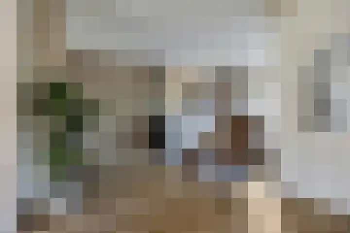 Nieuburgstraat 29 Uden thumbnail 8
