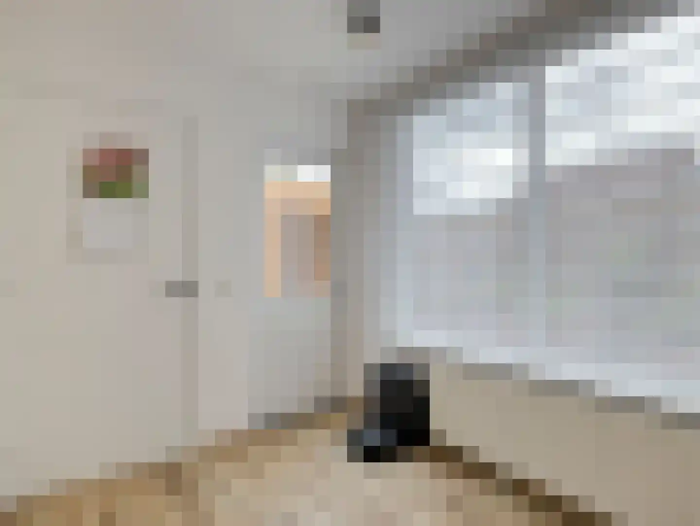 Nieuburgstraat 41 Uden thumbnail 11