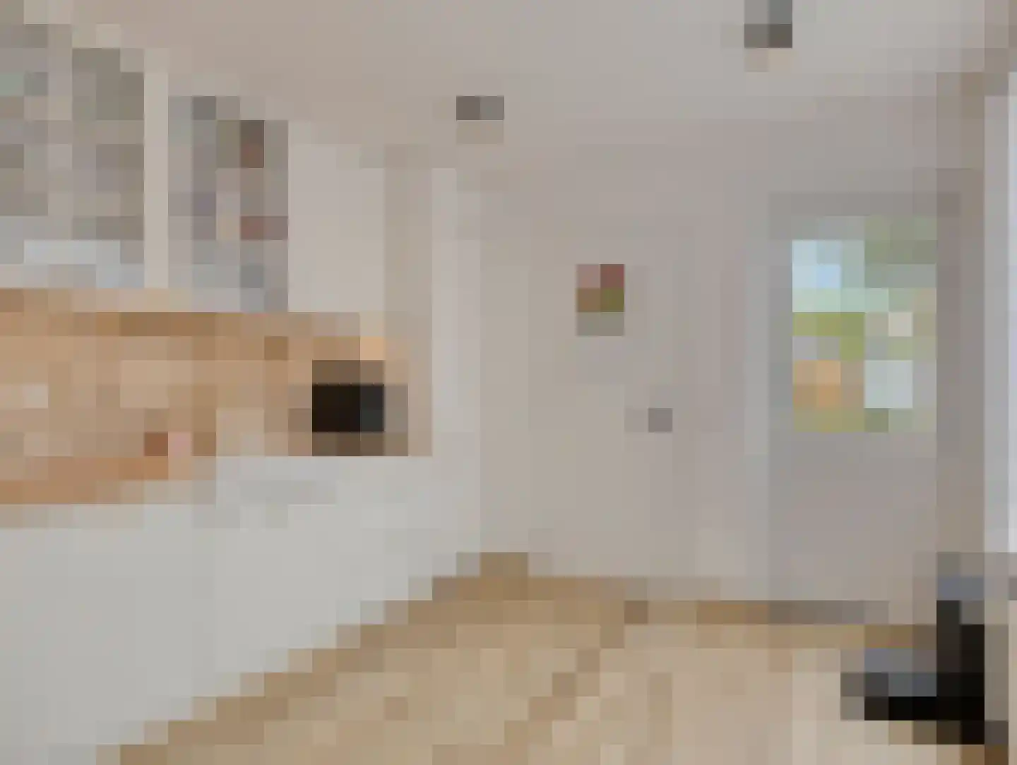 Nieuburgstraat 41 Uden thumbnail 16