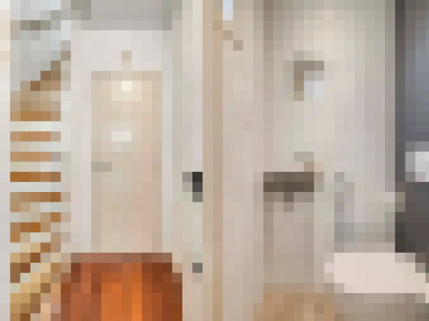 Nieuburgstraat 41 Uden thumbnail 17
