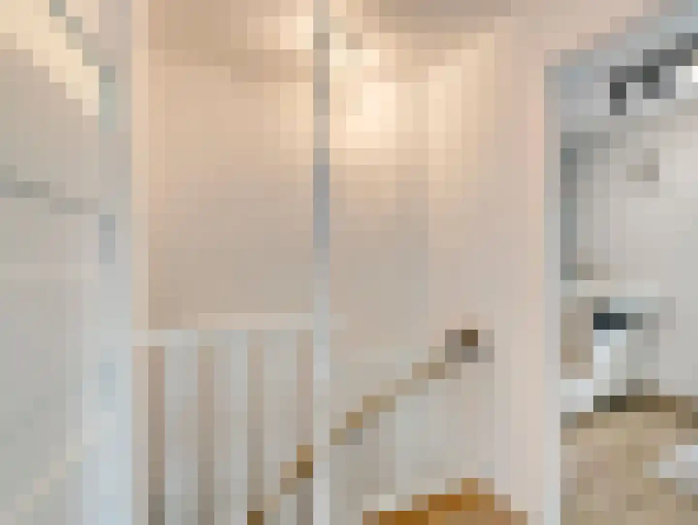 Nieuburgstraat 41 Uden thumbnail 21