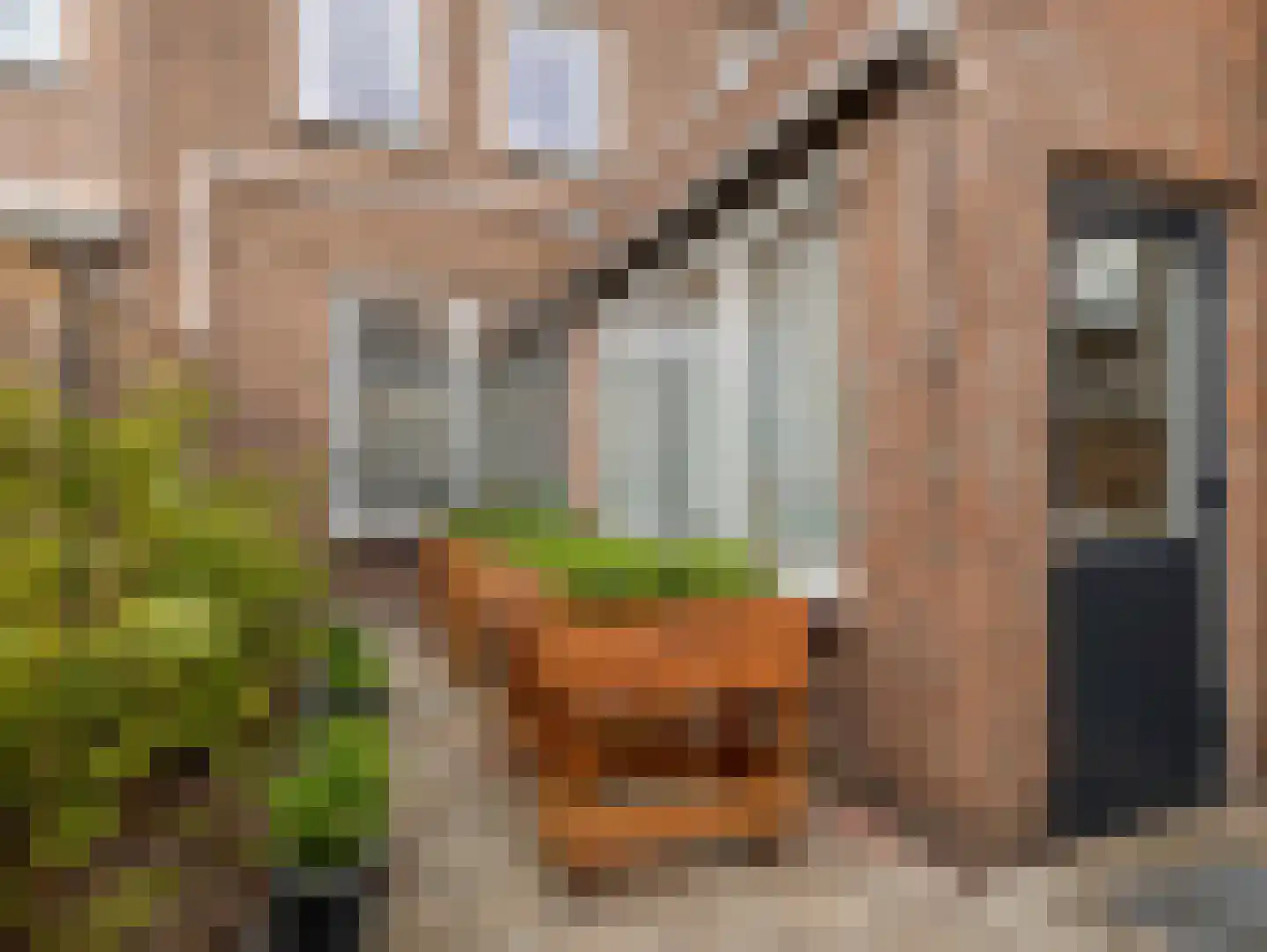 Nieuburgstraat 41 Uden thumbnail 29