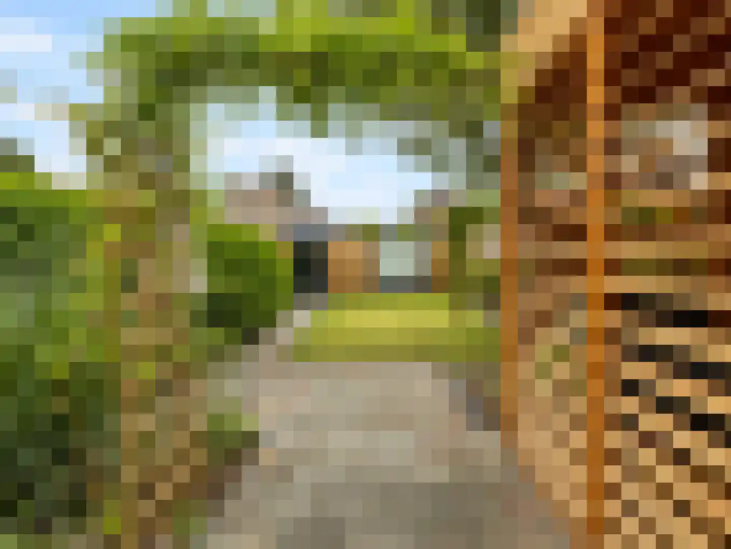 Nieuburgstraat 41 Uden thumbnail 37
