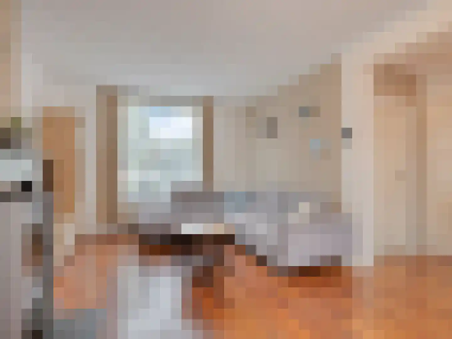 Nieuburgstraat 41 Uden thumbnail 5