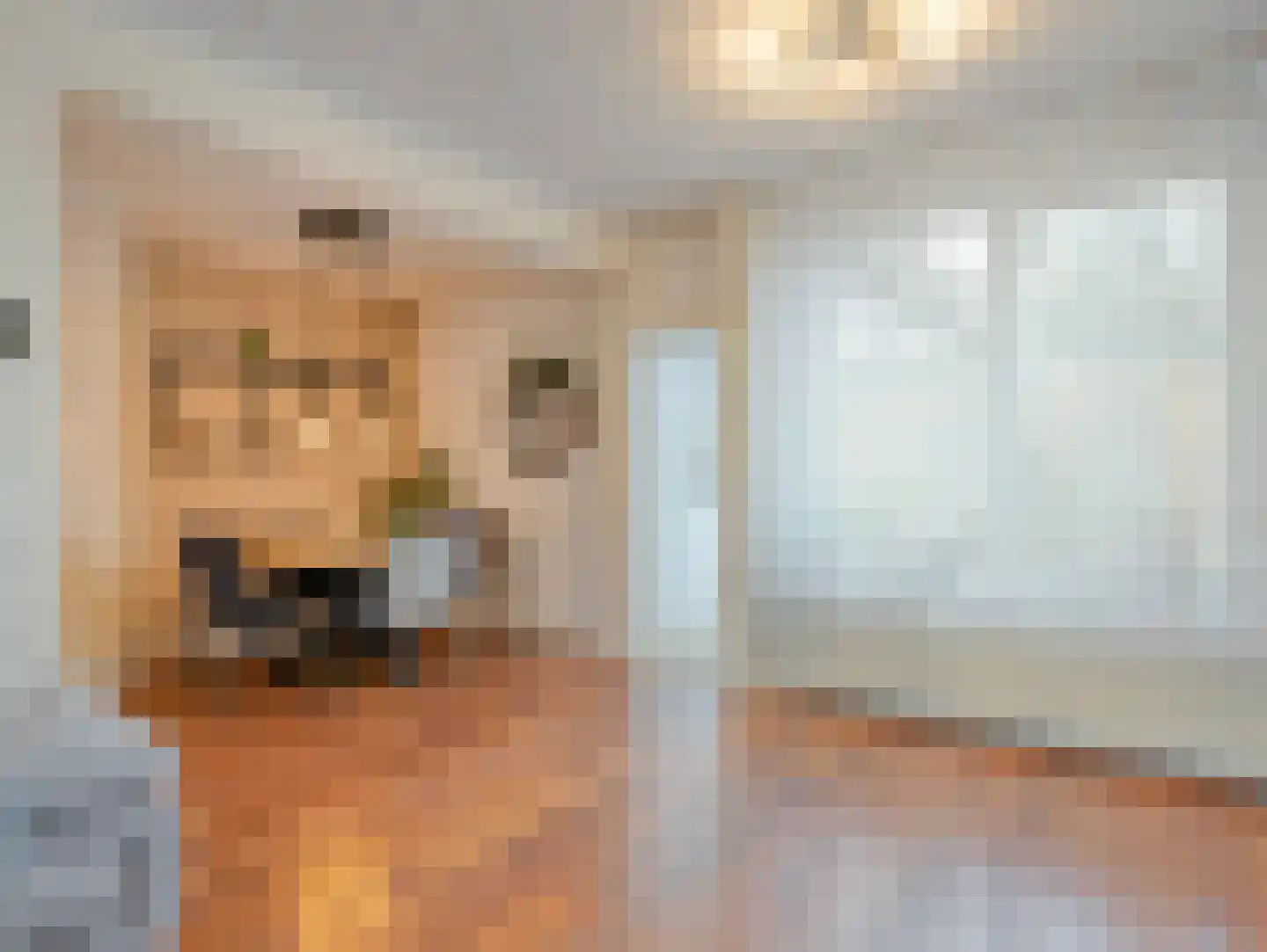 Nieuburgstraat 41 Uden thumbnail 6