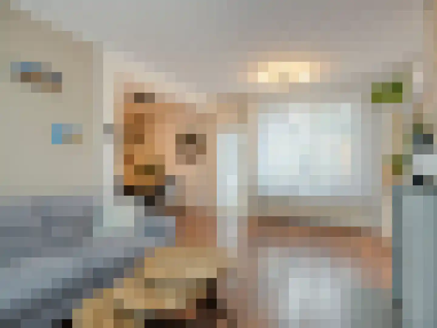 Nieuburgstraat 41 Uden thumbnail 7