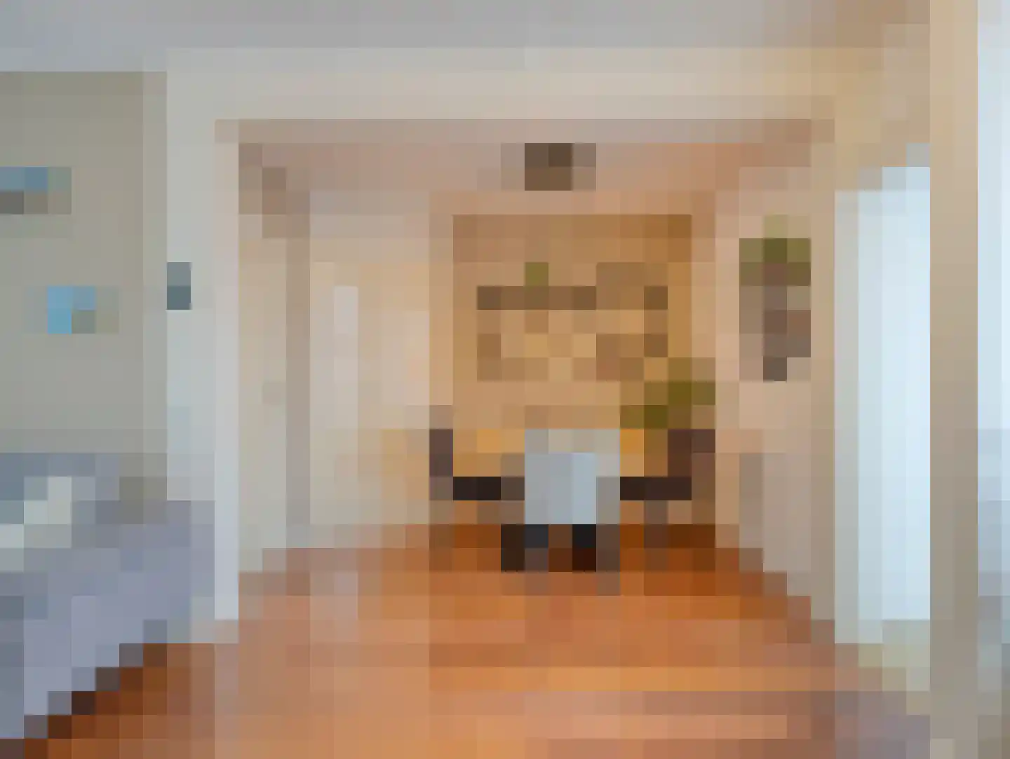 Nieuburgstraat 41 Uden thumbnail 9