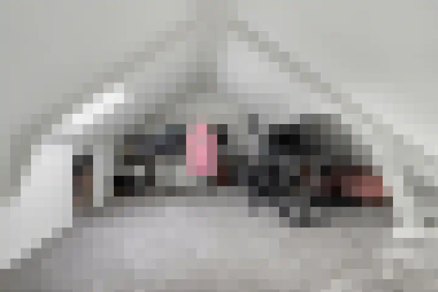 Nieukerckestraat 10 Krabbendijke thumbnail 22