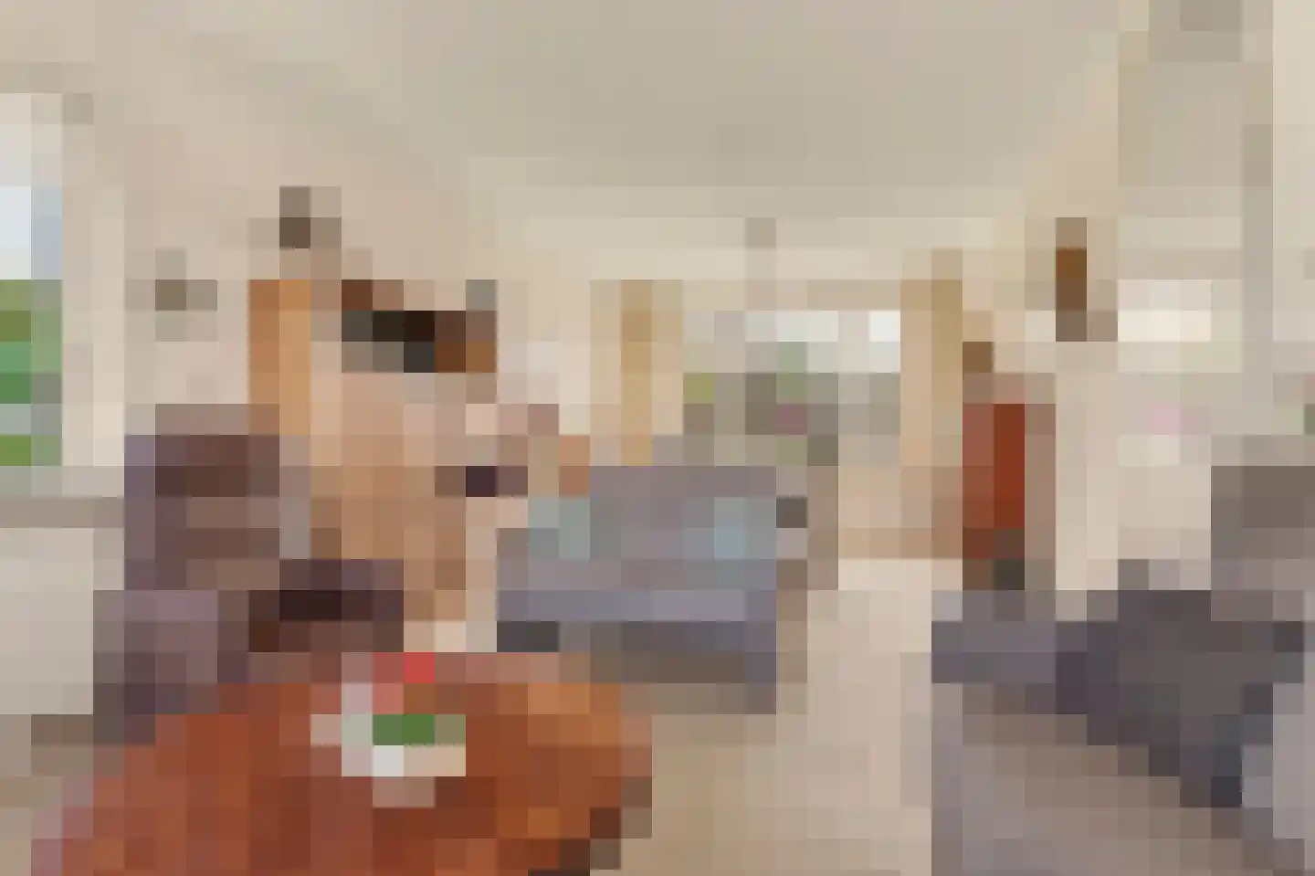 Nieukerckestraat 24 Krabbendijke thumbnail 10