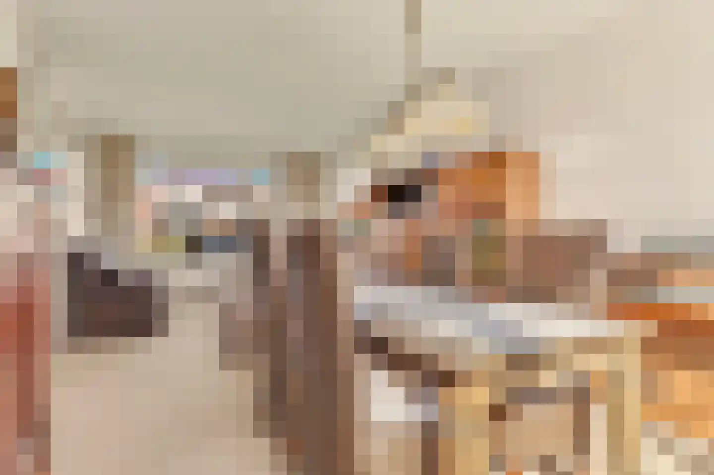 Nieukerckestraat 24 Krabbendijke thumbnail 12