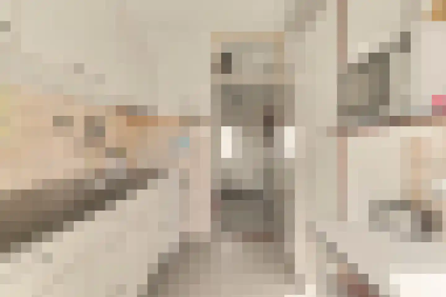 Nieukerckestraat 24 Krabbendijke thumbnail 14