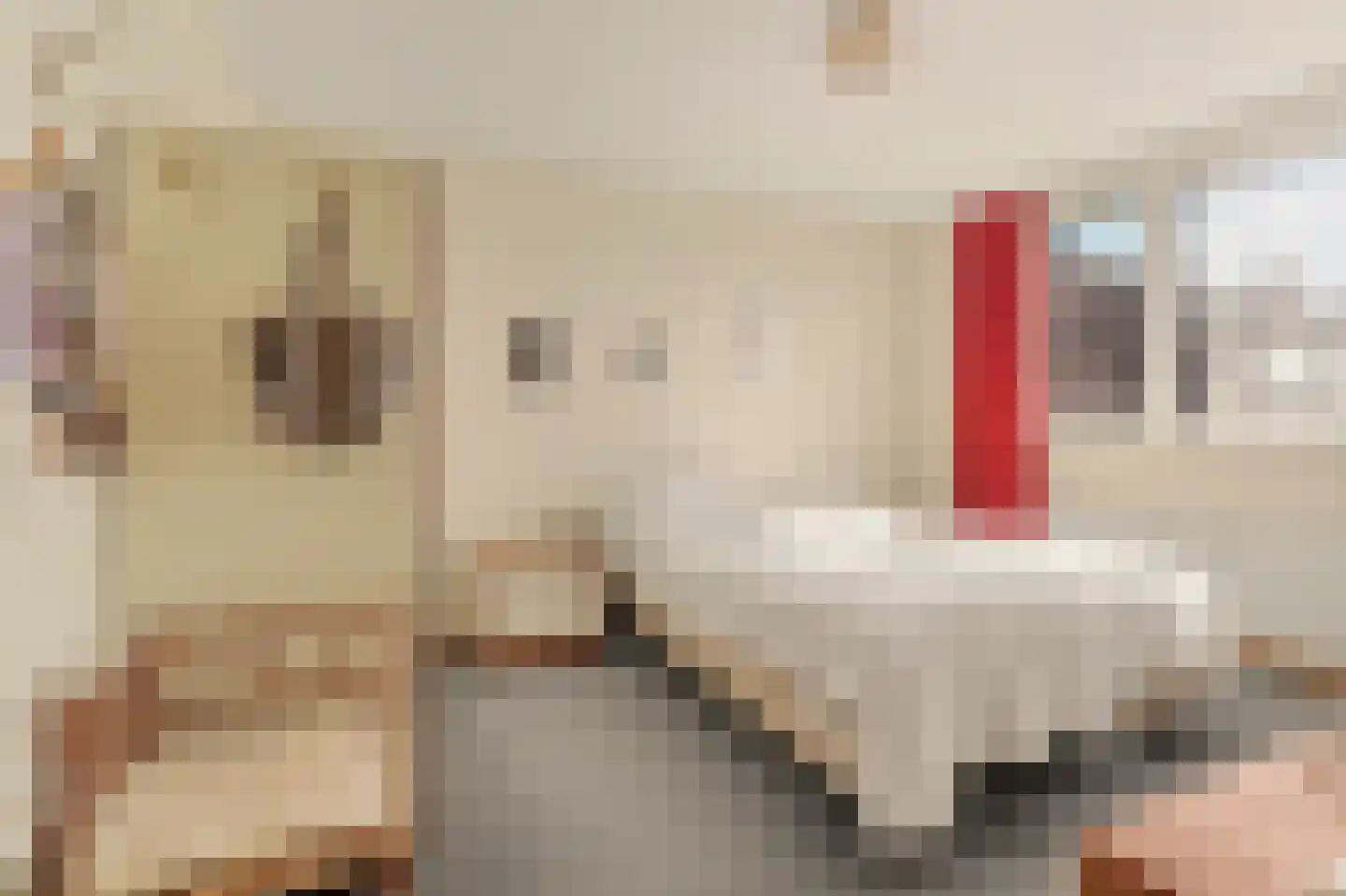 Nieukerckestraat 24 Krabbendijke thumbnail 17