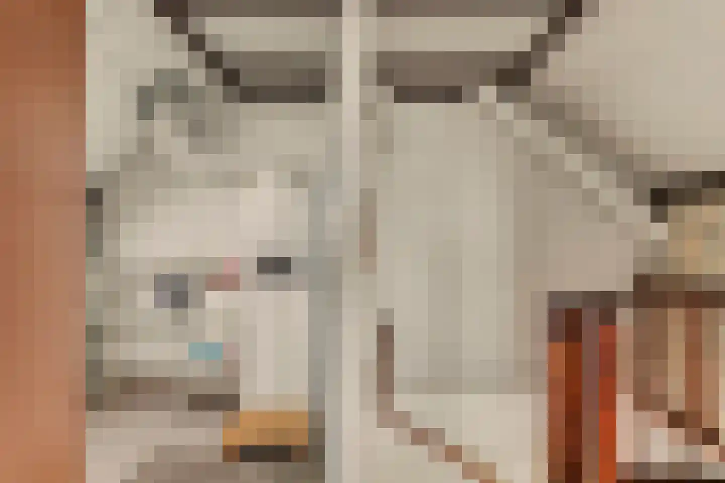 Nieukerckestraat 24 Krabbendijke thumbnail 23