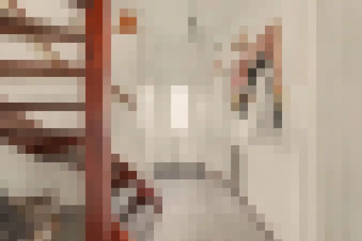 Nieukerckestraat 24 Krabbendijke thumbnail 6