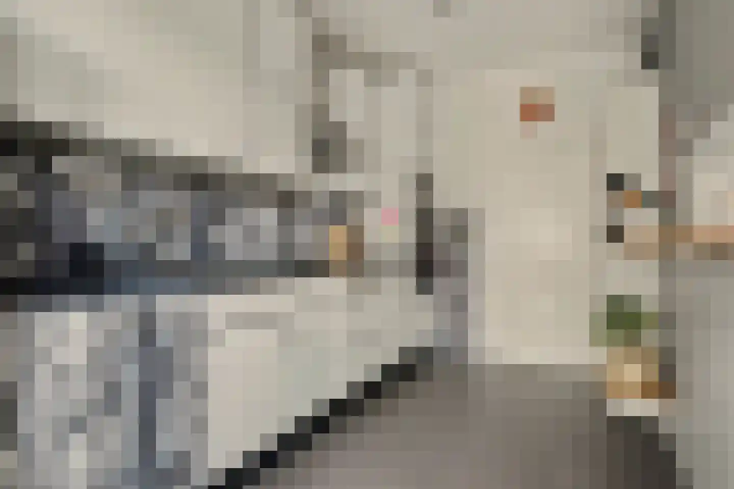 Nieukerckestraat 4 Krabbendijke thumbnail 17