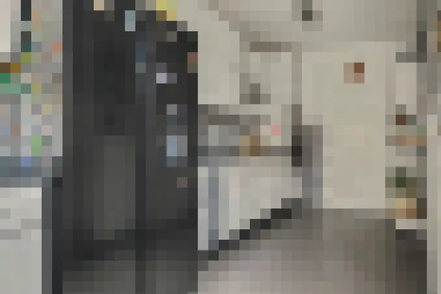 Nieukerckestraat 4 Krabbendijke thumbnail 18