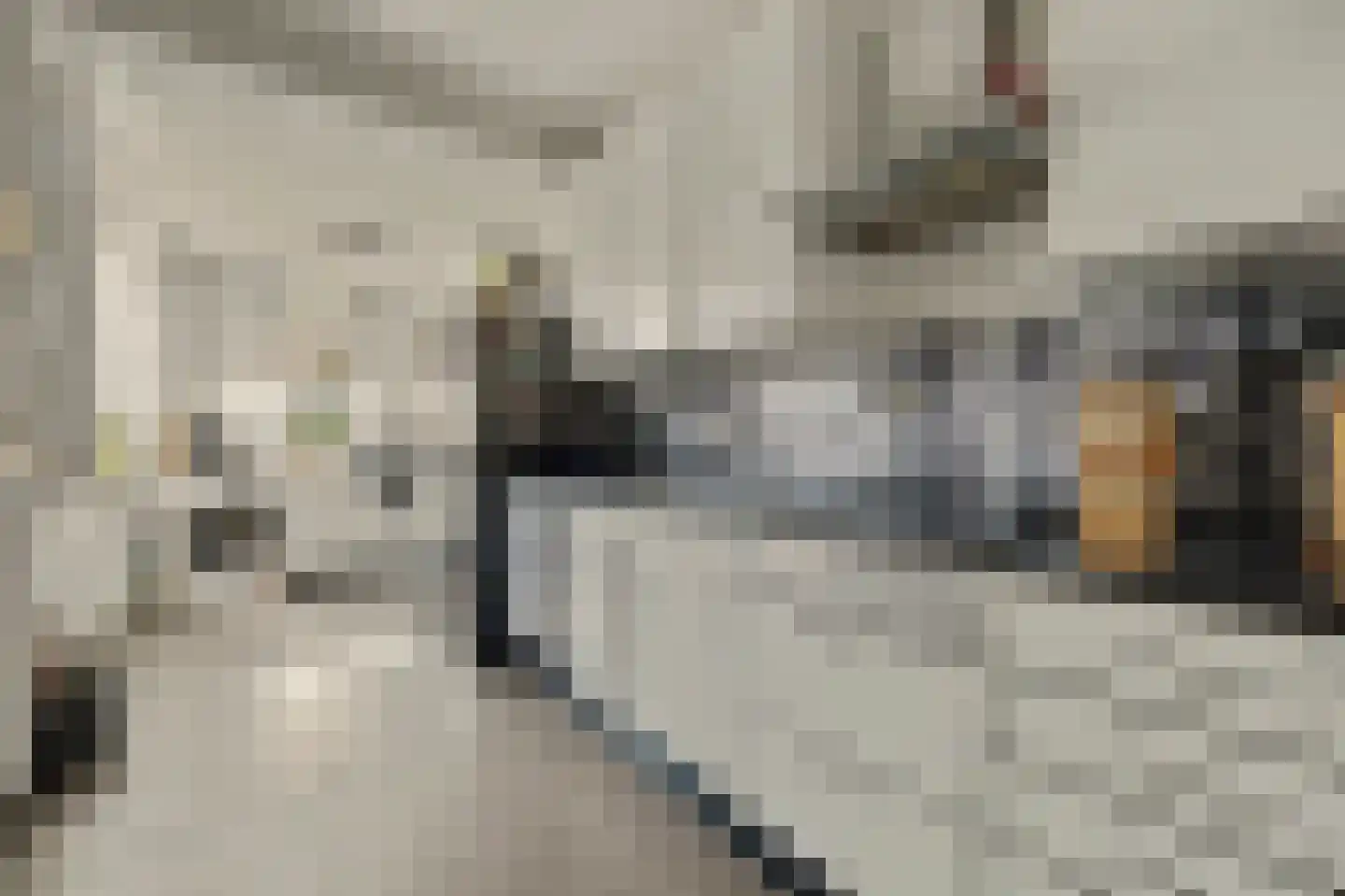 Nieukerckestraat 4 Krabbendijke thumbnail 20