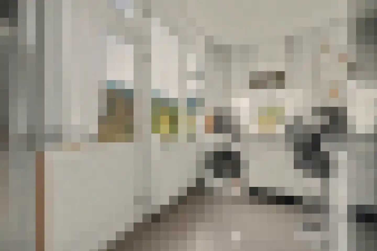 Nieukerckestraat 4 Krabbendijke thumbnail 21