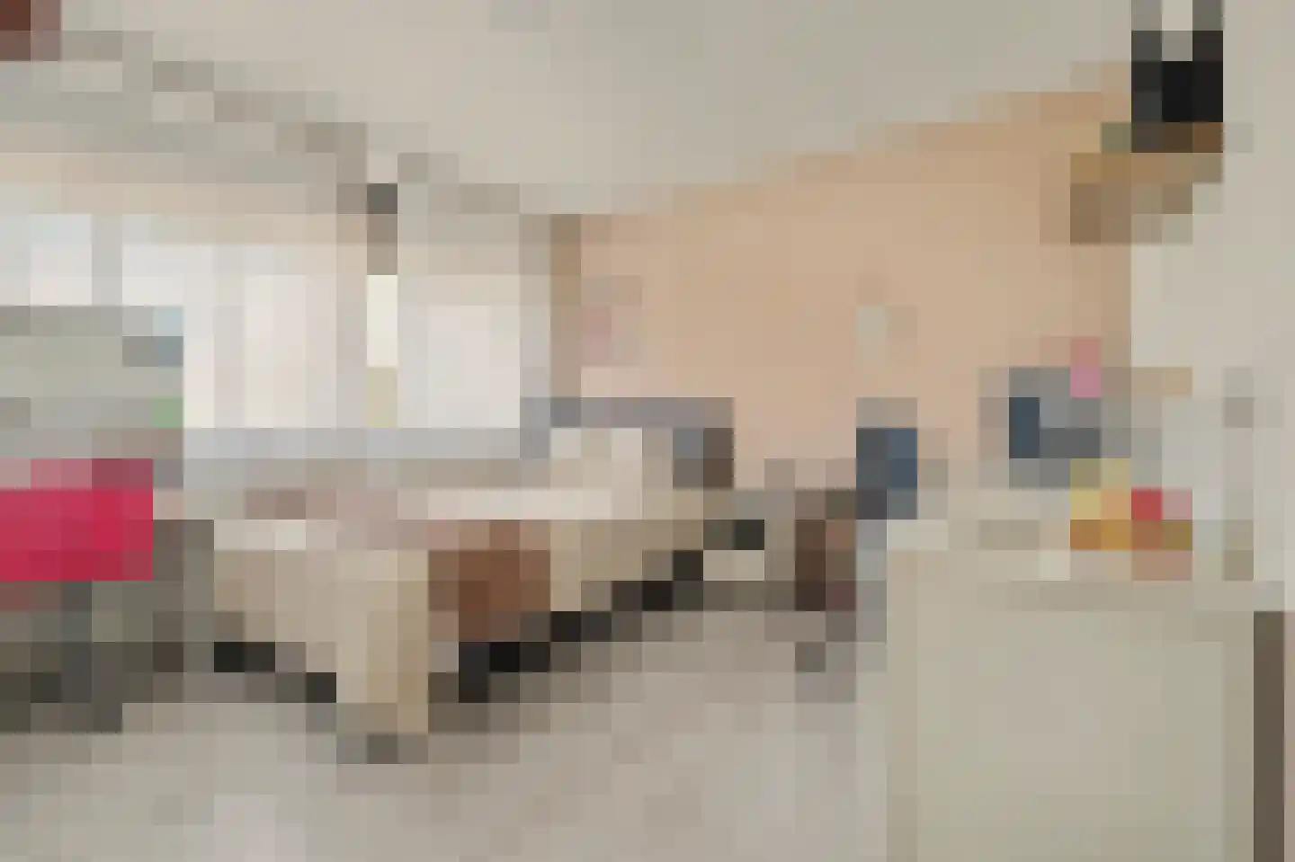 Nieukerckestraat 4 Krabbendijke thumbnail 25
