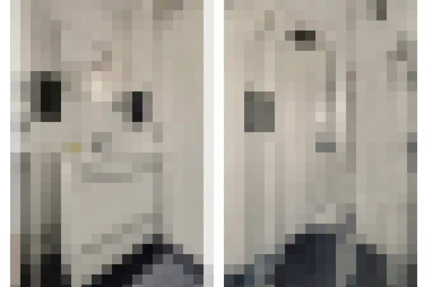 Nieukerckestraat 4 Krabbendijke thumbnail 30