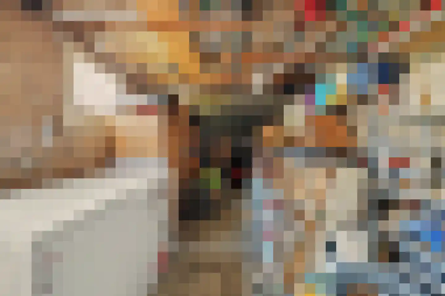 Nieukerckestraat 4 Krabbendijke thumbnail 35