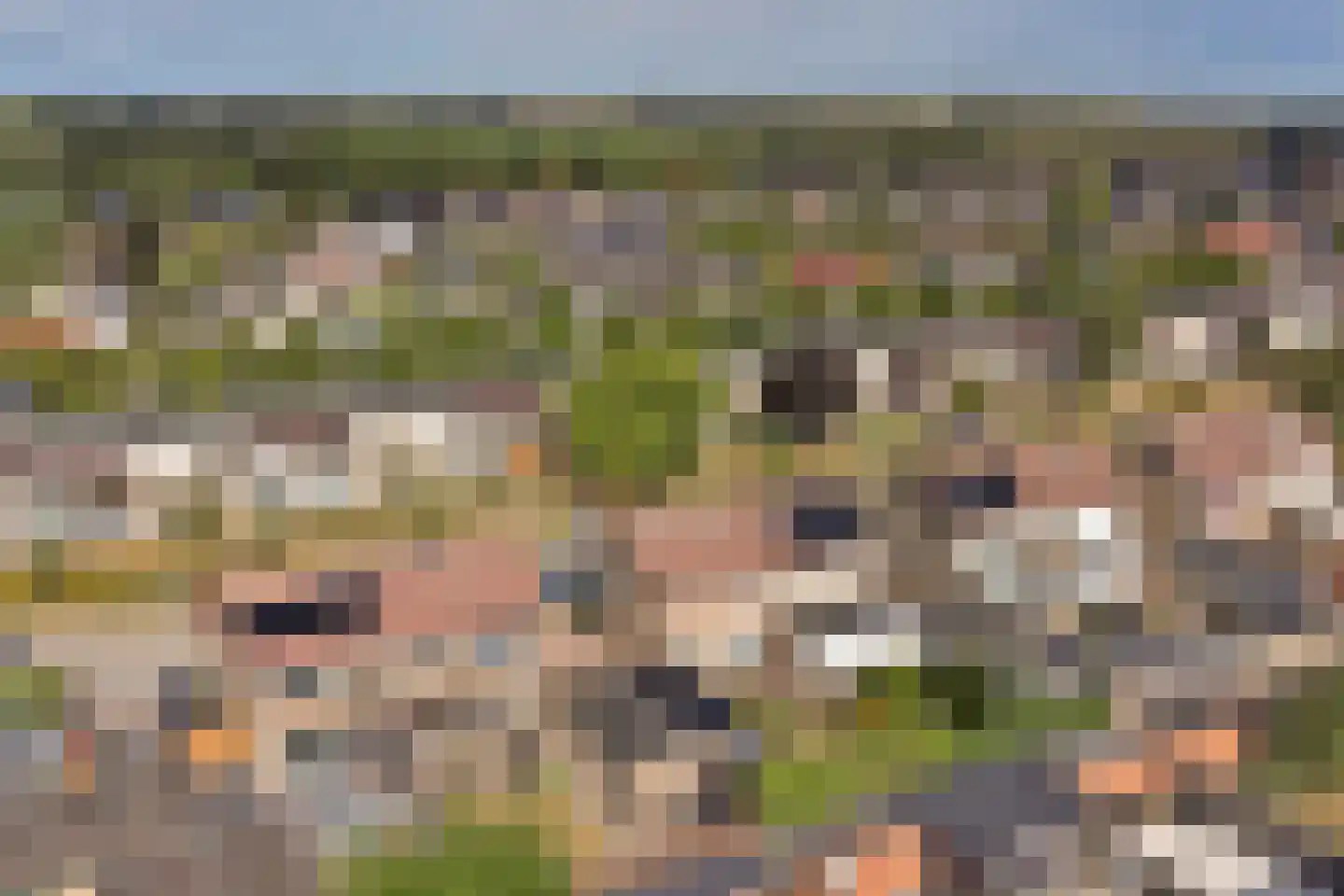 Nieukerckestraat 4 Krabbendijke thumbnail 50