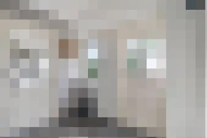 Nieuw-Amsterdamseweg 20 Schoonebeek thumbnail 10
