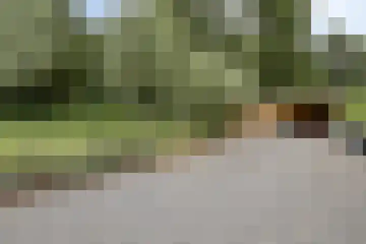 Nieuw-Amsterdamseweg 20 Schoonebeek thumbnail 11