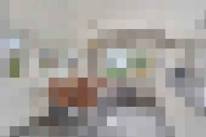 Nieuw-Amsterdamseweg 20 Schoonebeek thumbnail 11