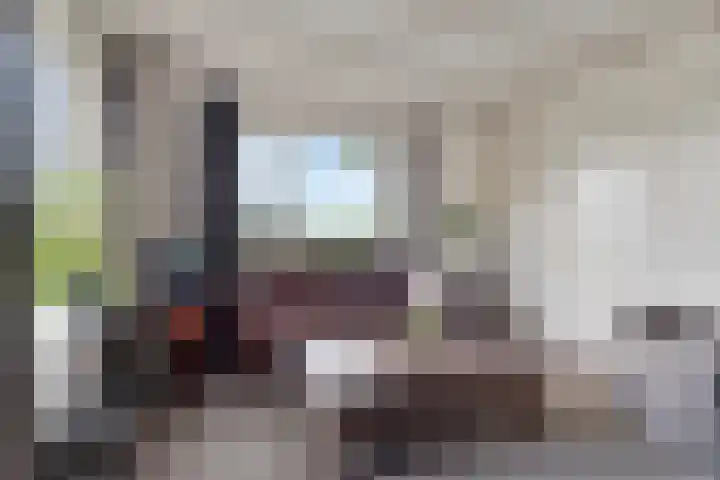 Nieuw-Amsterdamseweg 20 Schoonebeek thumbnail 14