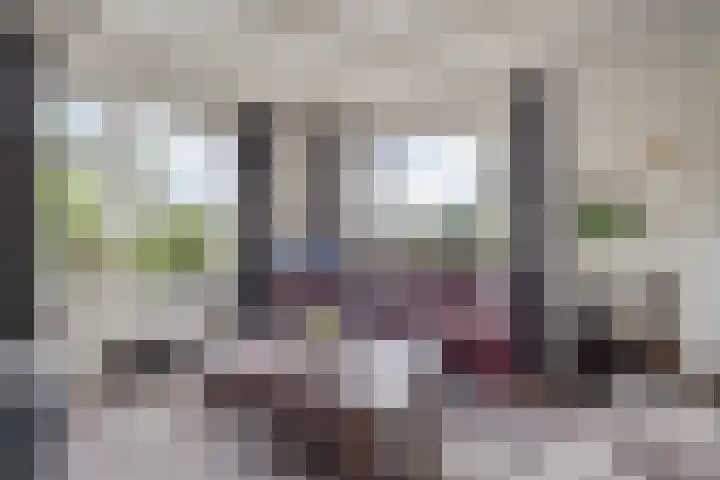 Nieuw-Amsterdamseweg 20 Schoonebeek thumbnail 15
