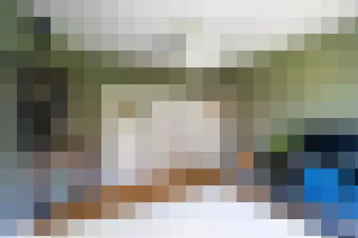 Nieuw-Amsterdamseweg 20 Schoonebeek thumbnail 16