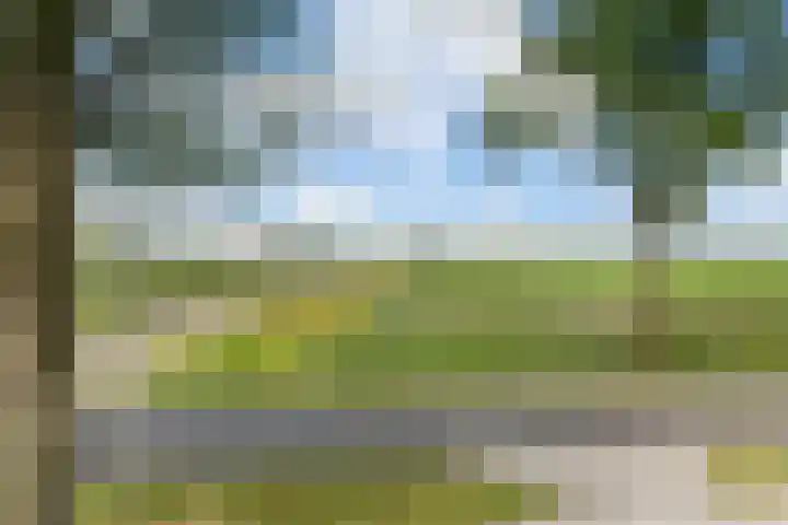 Nieuw-Amsterdamseweg 20 Schoonebeek thumbnail 32