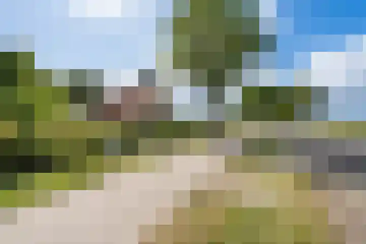 Nieuw-Amsterdamseweg 20 Schoonebeek thumbnail 33