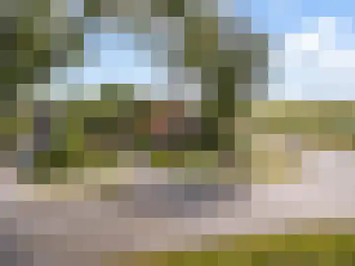Nieuw-Amsterdamseweg 20 Schoonebeek thumbnail 4
