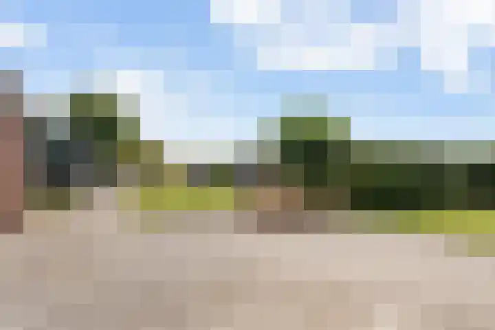 Nieuw-Amsterdamseweg 20 Schoonebeek thumbnail 40