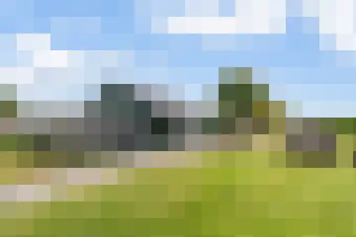 Nieuw-Amsterdamseweg 20 Schoonebeek thumbnail 41