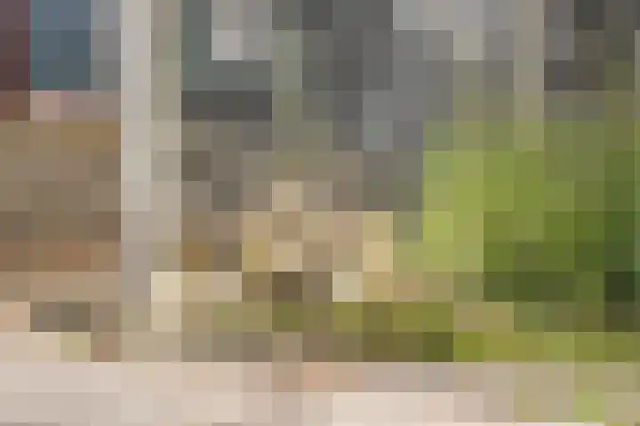 Nieuw-Amsterdamseweg 20 Schoonebeek thumbnail 42