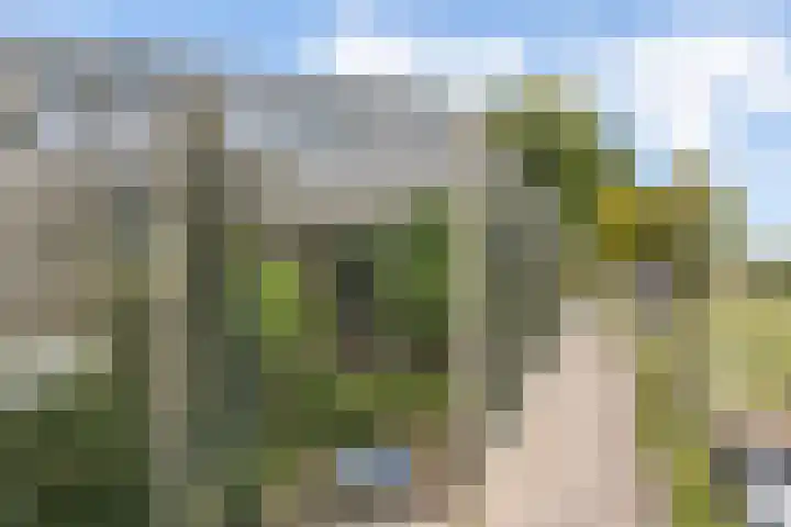 Nieuw-Amsterdamseweg 20 Schoonebeek thumbnail 43