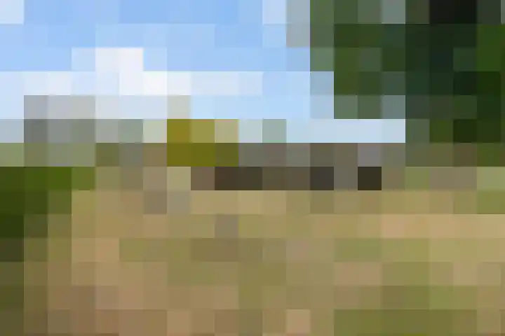Nieuw-Amsterdamseweg 20 Schoonebeek thumbnail 45