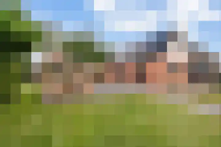 Nieuw-Amsterdamseweg 20 Schoonebeek thumbnail 46